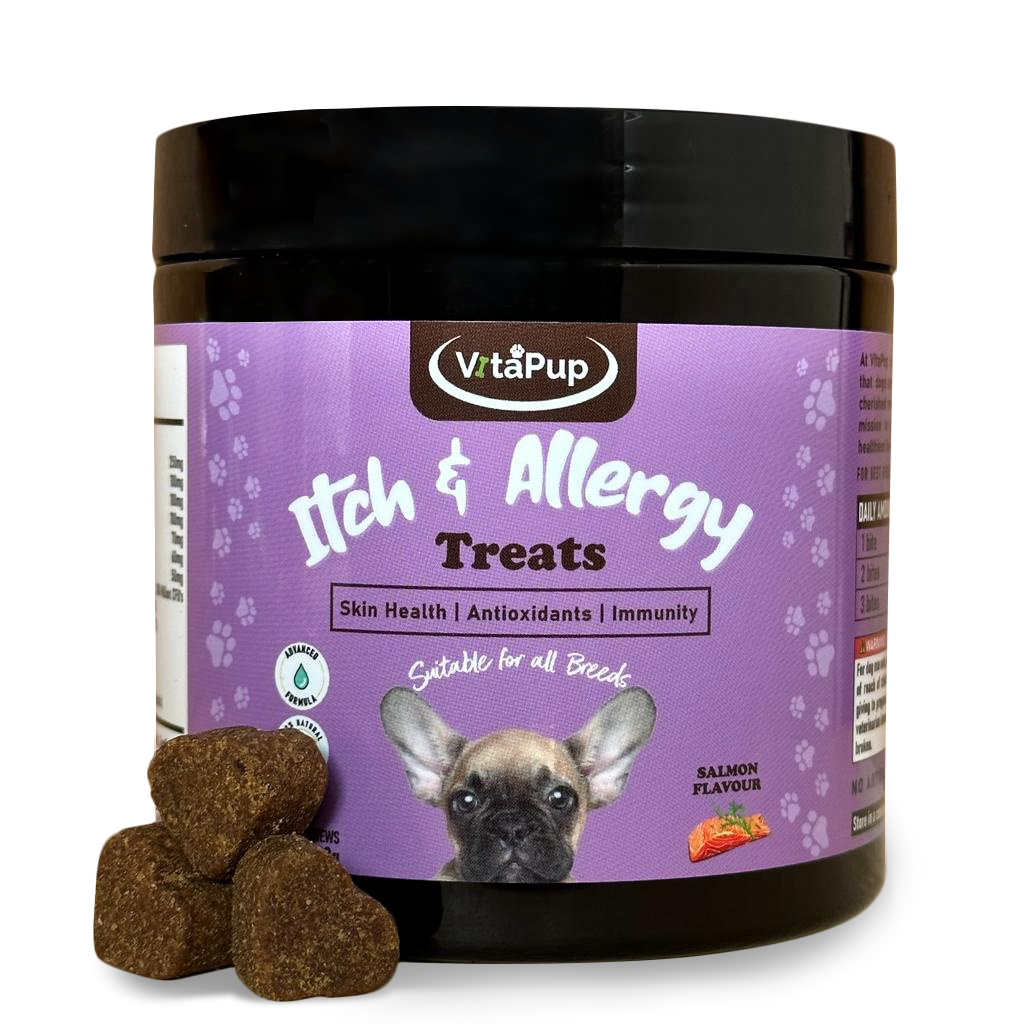 Itchy dog treatment uk deals