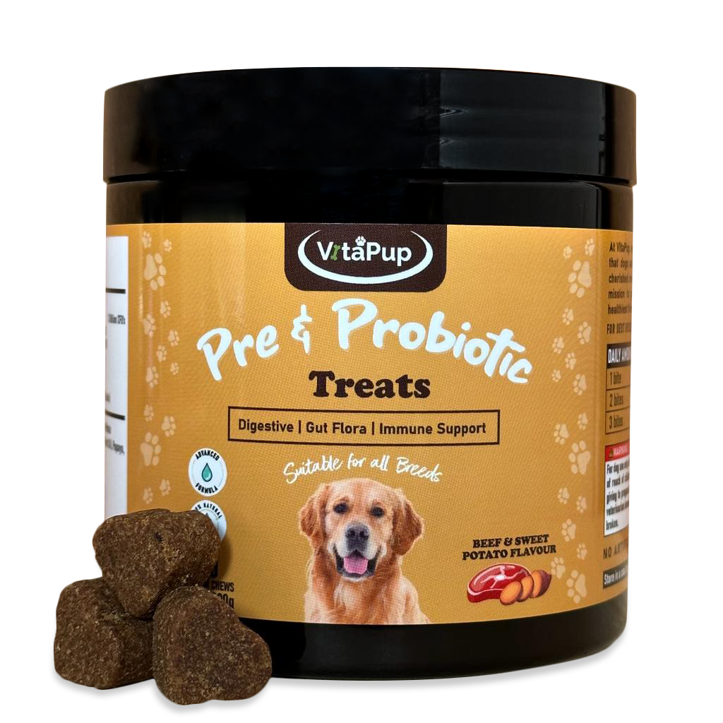 Dog treats for gastrointestinal outlet