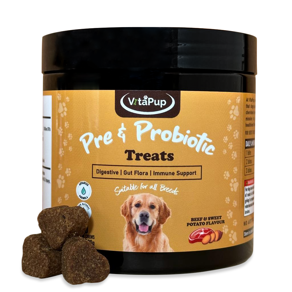 VitaPup Pre & Probiotic Dog Treats