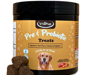 VitaPup Pre & Probiotic Dog Treats