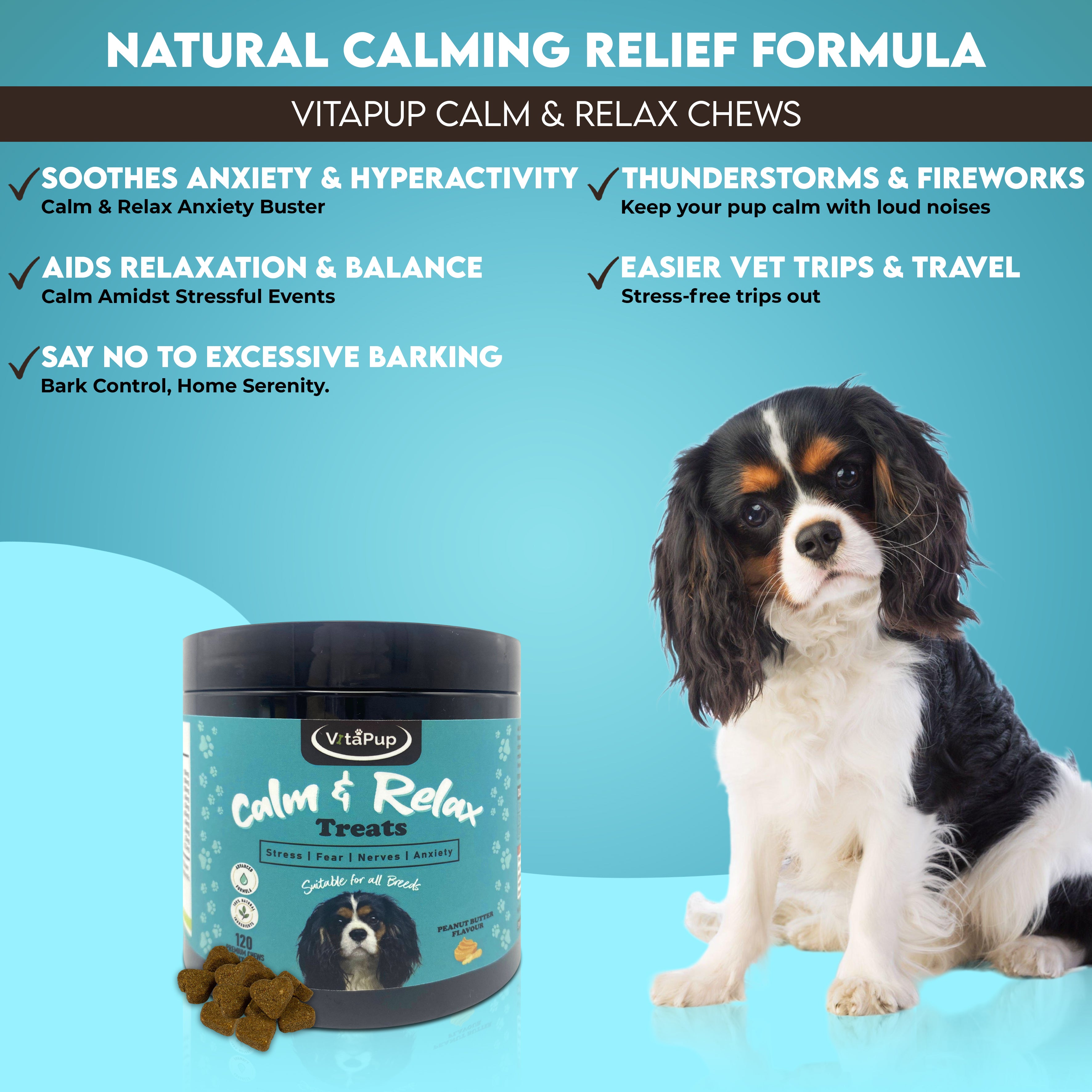 VitaPup Calm & Relax Dog Treats