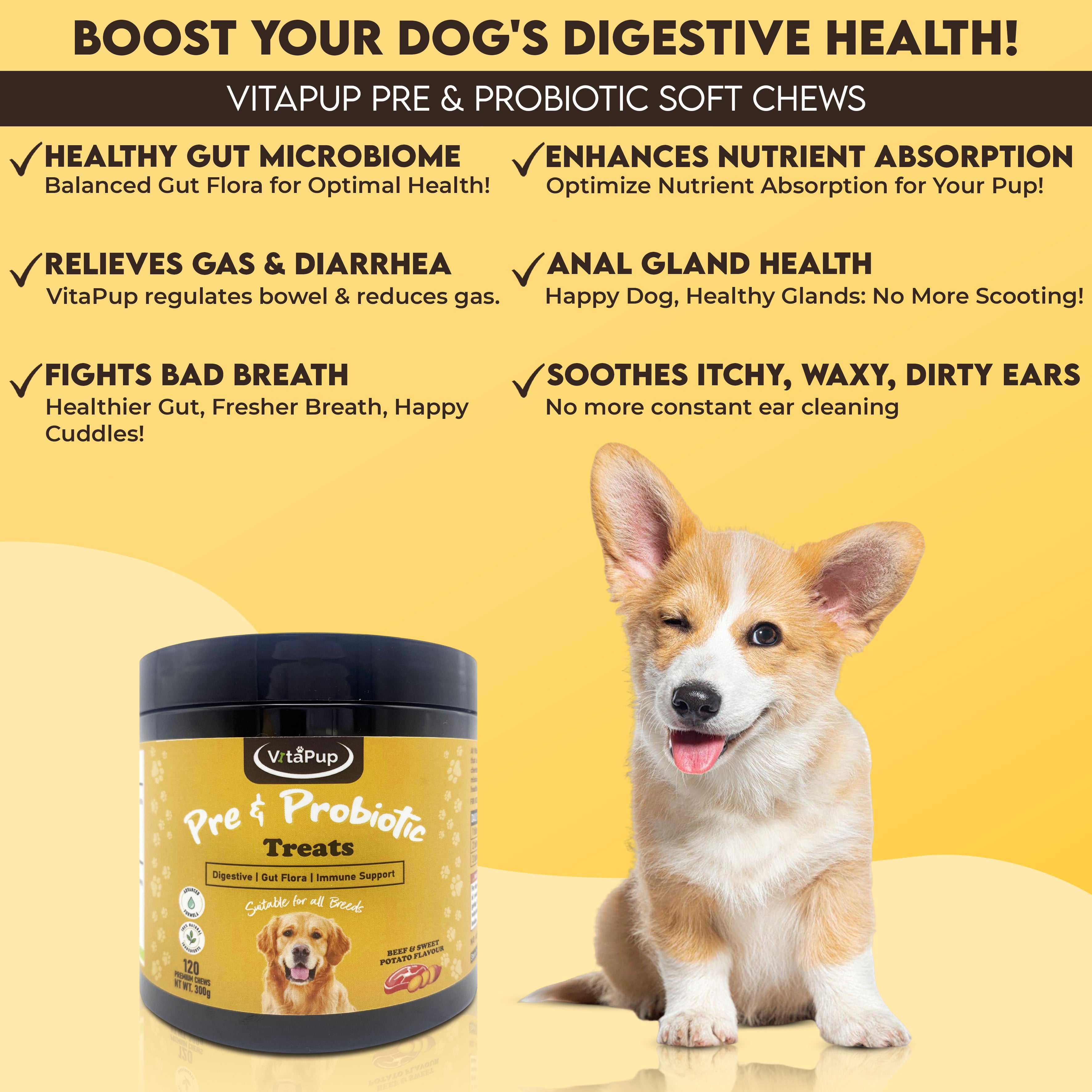 VitaPup Pre & Probiotic Dog Treats